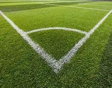 大卫,席尔瓦,若非与皇家,Bet365网址,体育娱乐,官方网址,在线投注,体育平台,比分直播