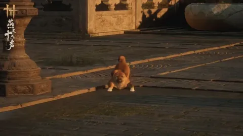 申花备战京战，新教练及外援将揭开面纱